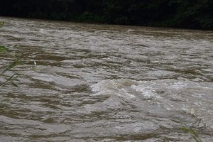 На Рахівщині втопився чоловік який намагався незаконно потрапити у Румунію