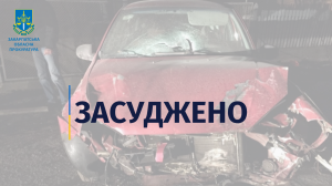 Збив жінку та залишив у небезпеці – водія з Берегівщини засуджено за скоєння ДТП з летальними наслідками