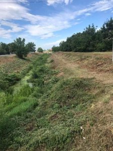Комунальники Мукачева викошують траву на території громади