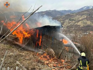 У Рахові пожежа охопила дачний будинок (Фото)