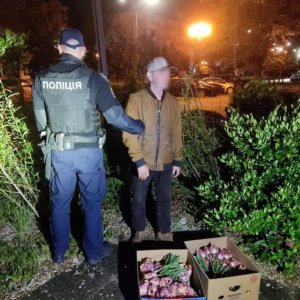 Патрульні поліцейські затримали чоловіка, який вночі поцупив оберемок тюльпанів з міської клумби