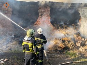 На Берегівщині рятувальники ліквідували пожежу