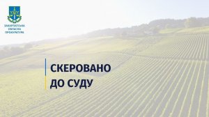 Мешканець Тячівщини відповідатиме перед судом за шахрайське заволодіння землями в Солотвині