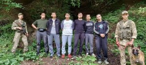 На Закарпатті прикордонники затримали групу чоловіків, які намагалися незаконно потрапити до Румунії
