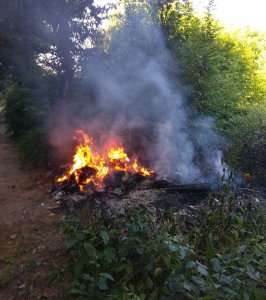 На території Мукачівської громади заборонено спалювати сміття, штраф від 340 до 1360 гривень