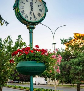 Багаторічний квітник почали облаштовувати на проспекті Свободи в Ужгороді