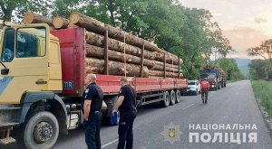 На Закарпатті затримали дві вантажівки з нелегальною деревиною