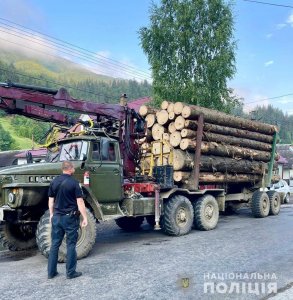 На Тячівщині поліція знову затримали вантажівку з нелегальною деревиною