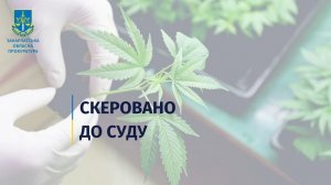 На Закарпатті співробітницю університету судитимуть за протиправне зберігання та вирощування наркотиків