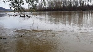 Через дощі на річках Закарпаття піднявся рівень води (фото)