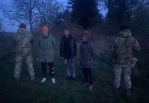Прикордонники Чопського загону затримали 15 українців, які лісами і полями прямували до ЄС