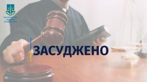 Підприємця з Тячівщині, засудили до 5 років позбавлення волі