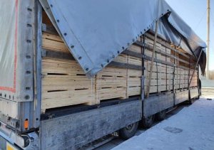 Закарпатські митники припинили на кордоні з Угорщиною чергову оборудку з незаконним експортом лісоматеріалів