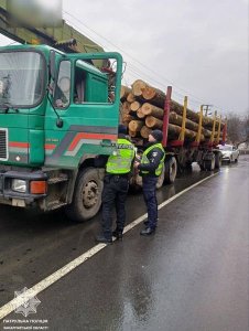 На Закарпатті у водія вантажівки патрульні виявили деревину, документи на яку не відповідали дійсності