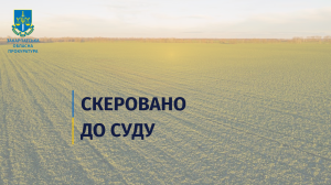 За шахрайство із земельною ділянкою на Тячівщині судитимуть місцевого жителя