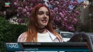Рожевий цвіт сакур вкотре зібрав тисячі туристів в Ужгороді