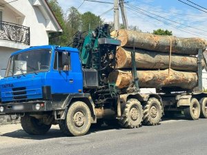 На Закарпатті поліція затримала дві вантажівки, водії яких транспортували нелегальну лісопродукцію