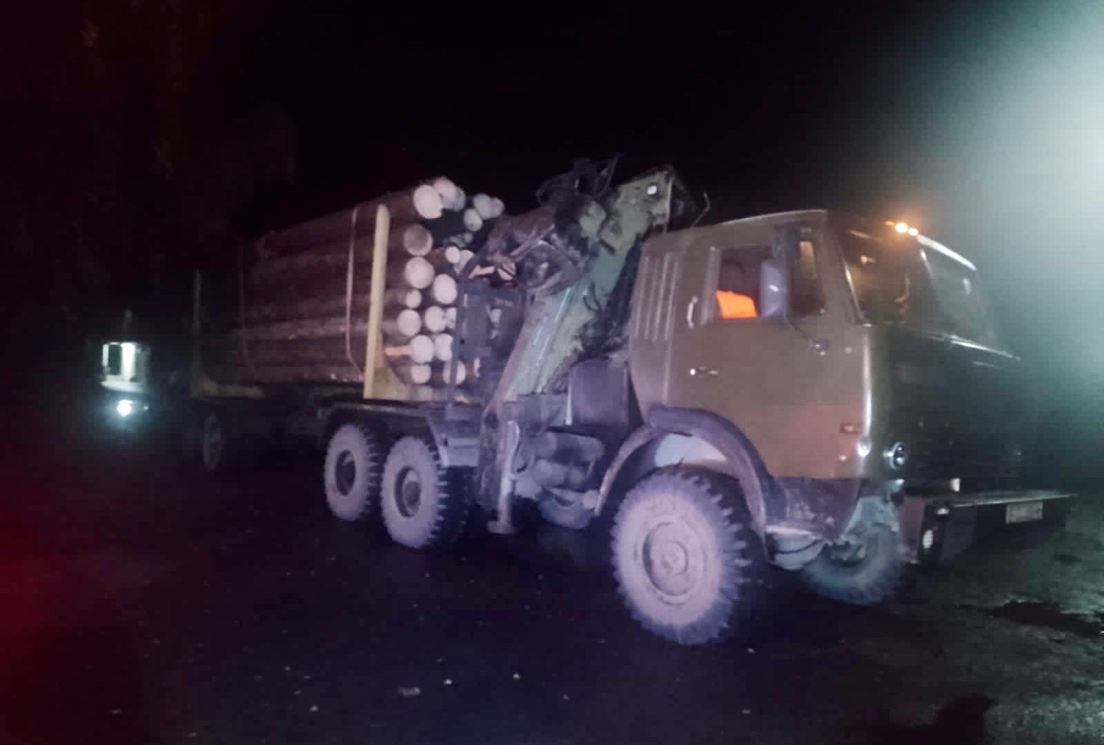 Виявили розбіжності у кубомасі та сортності деревини: у Рахові поліція вилучила вантажівку з нелегальною лісопродукцією