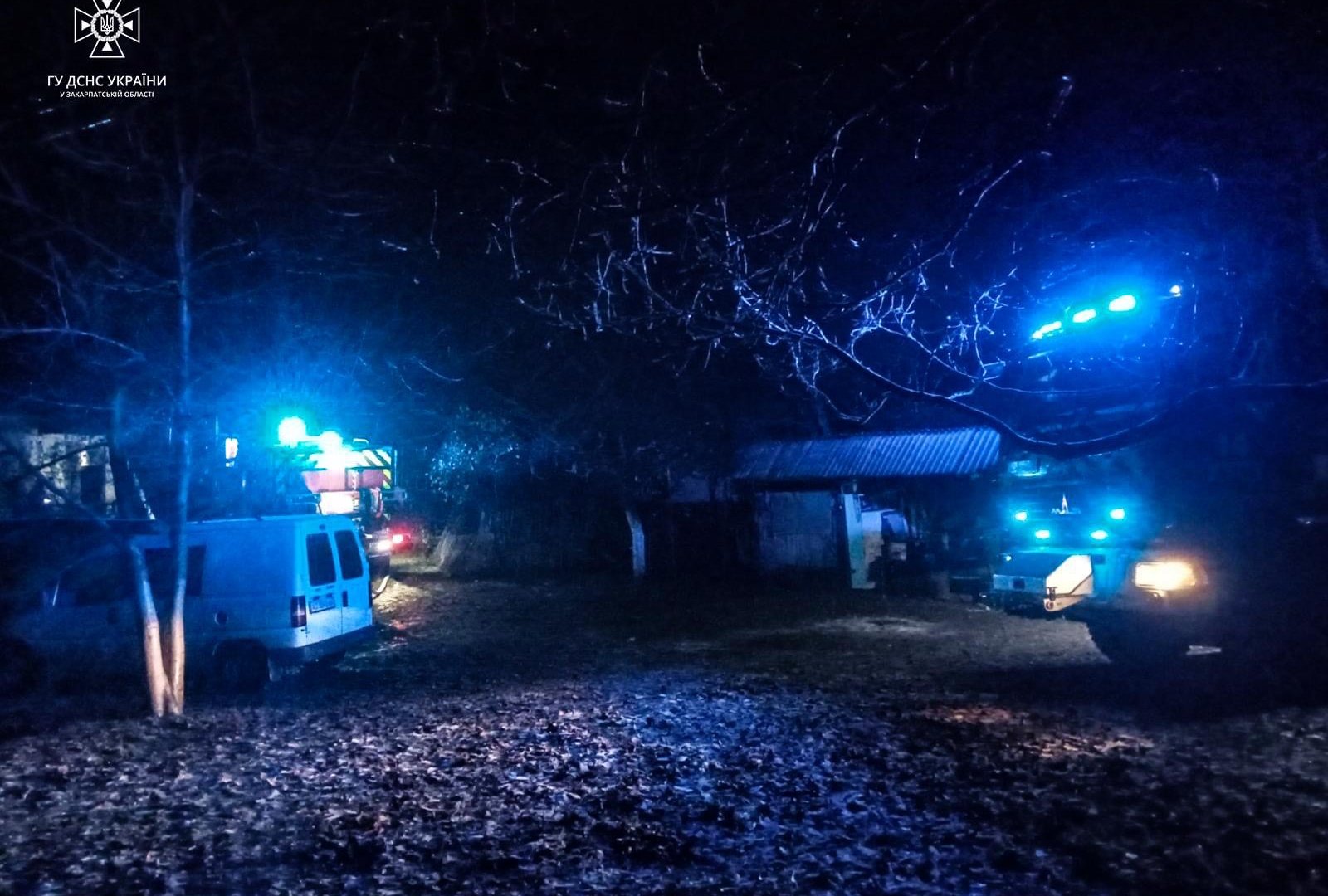 Рятувальників викликав сусід, який побачив сильне задимлення: Пожежа на Хустщині