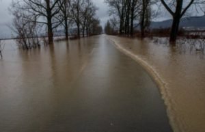 У 9 селах на Закарпатті очікуються підтоплення сільгоспугідь та автодороги